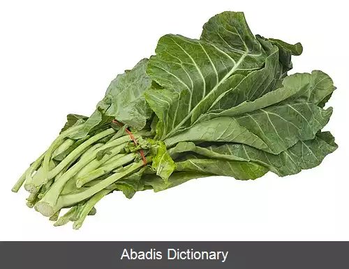 عکس کلم سبز