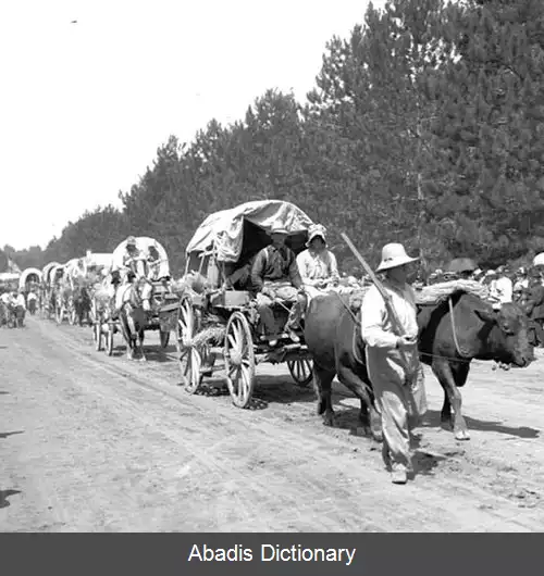 عکس کاروان درشکه