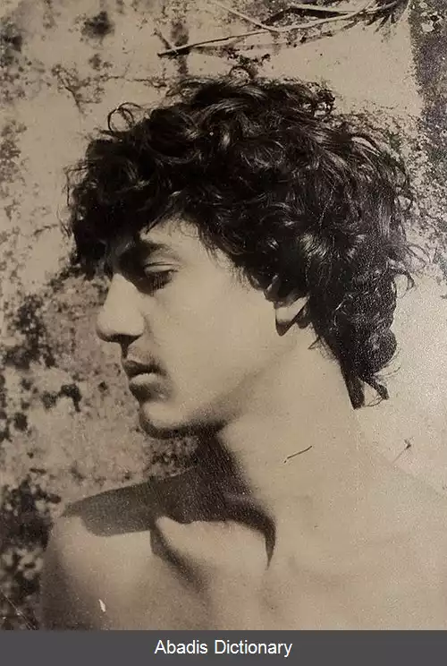 عکس وینسنزو گالدی