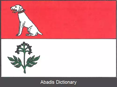 عکس بزووا