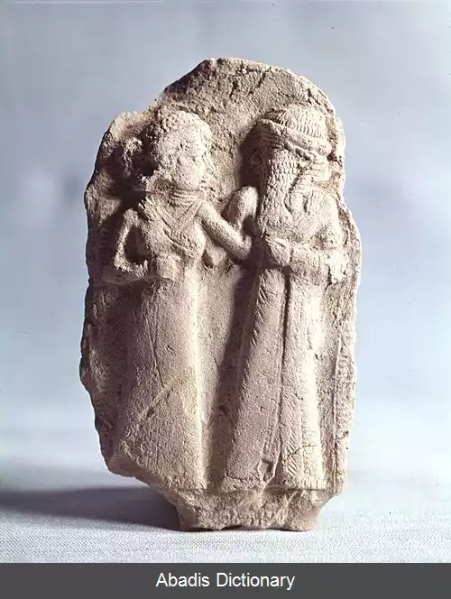 عکس دوموزید