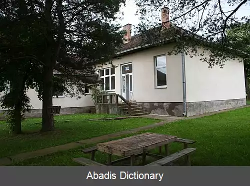 عکس پیینوویچ