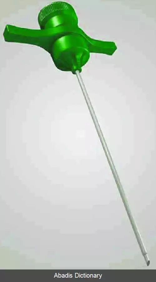 عکس سوزن جمشیدی