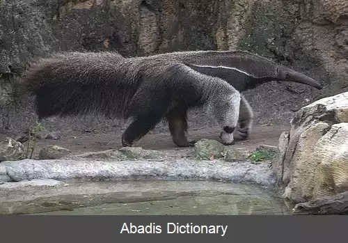 عکس فهرست میراث جهانی در کلمبیا