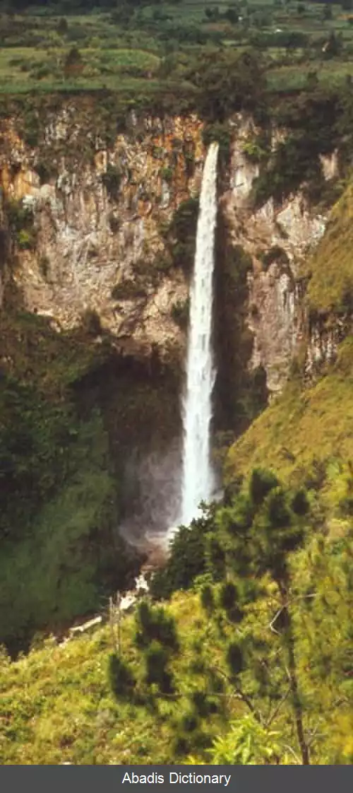 عکس فهرست آبشارها بر پایه گونه