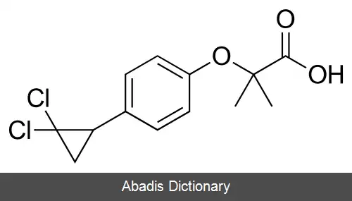 عکس فیبرات