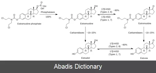 عکس استراموستین فسفات