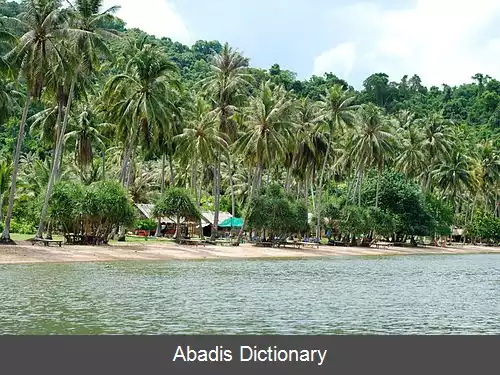 عکس استان کپ