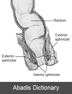 عکس فشارسنجی مقعد و راست روده