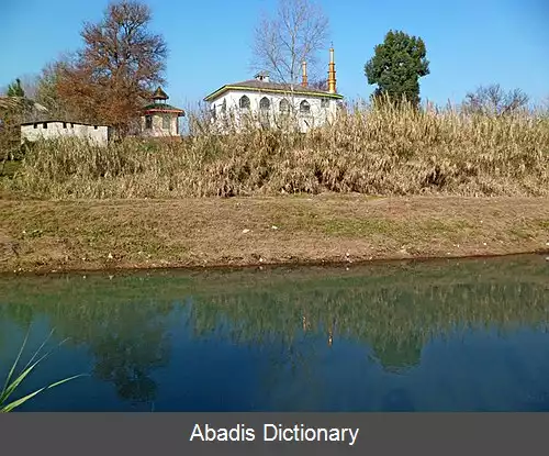 عکس سیگارود