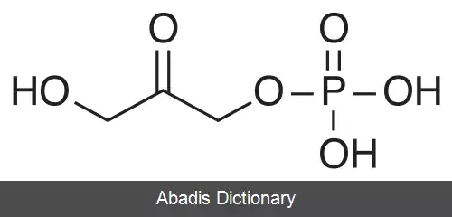 عکس دی هیدروکسی استون فسفات