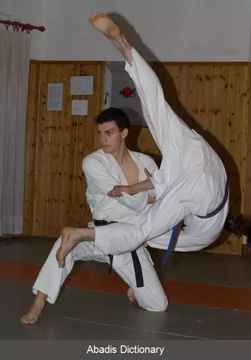 عکس اوکی اوتوشی