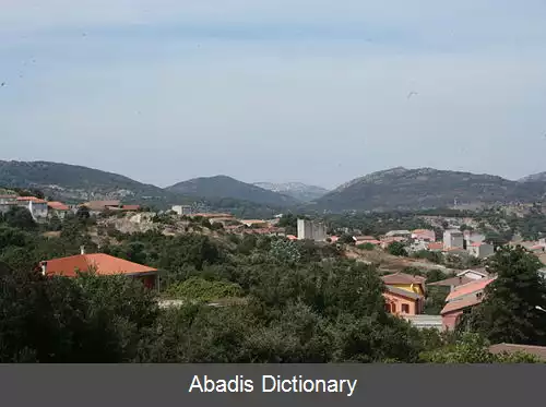 عکس بوددوسو
