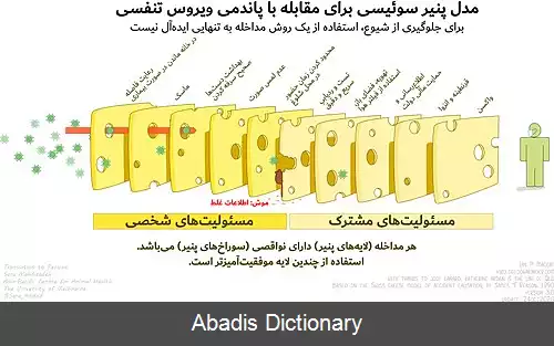 عکس مدل پنیر سوئیسی