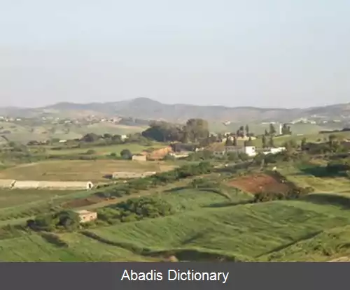 عکس سیدی لخضر (استان مستغانم)