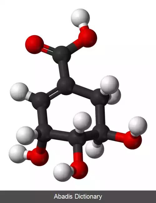 عکس اسید شیکمیک