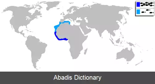عکس وزغ ماهی پرتغالی