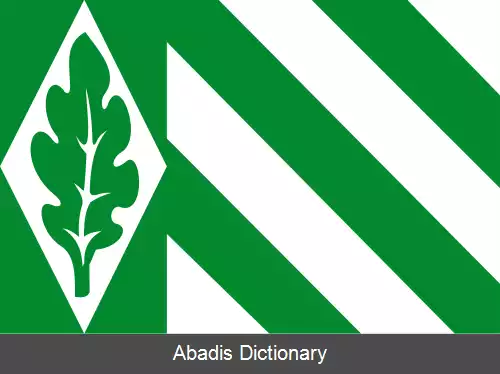 عکس فریزن فین