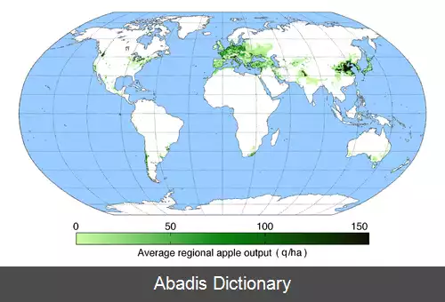 عکس فهرست کشورها بر پایه تولید سیب