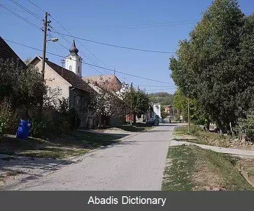 عکس ویزیچ