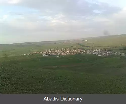 عکس اودلو