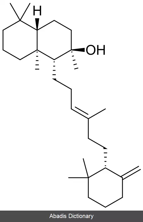 عکس آمبرین