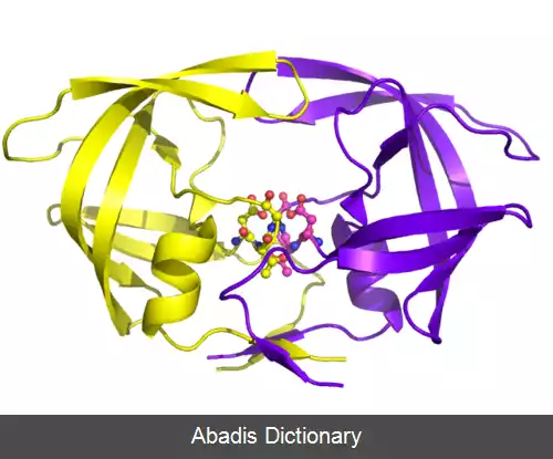 عکس پروتئاز اچ آی وی
