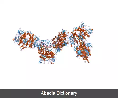 عکس پروتئین متصل شونده به E3