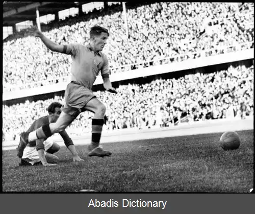 عکس استلان نیلسون