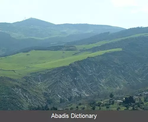 عکس دلیچتو