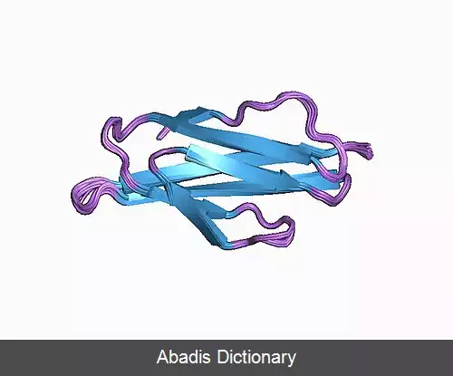 عکس پلی سیستین ۱