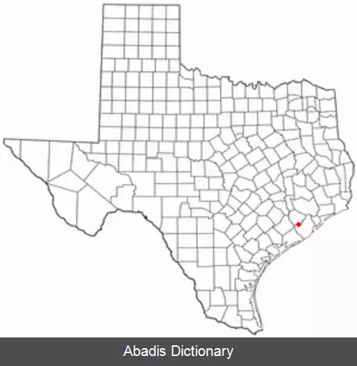 عکس دیمون تگزاس