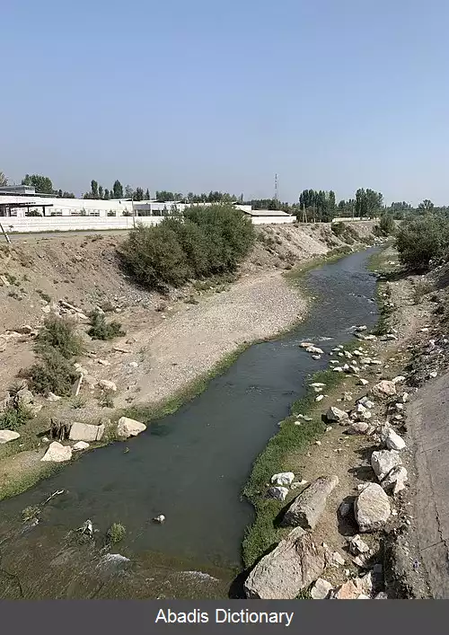 عکس آراوان سای