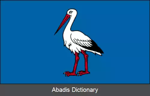 عکس استایکل