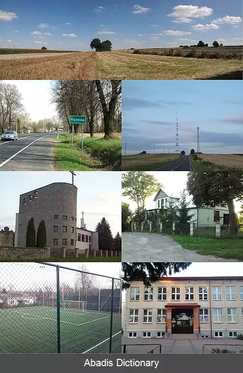 عکس پیوترکوف پیروشه