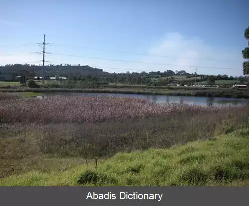 عکس ربی نیو ساوت ولز