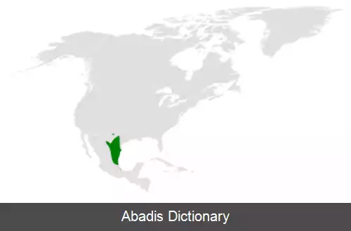 عکس چرخ ریسوک کاکل سیاه
