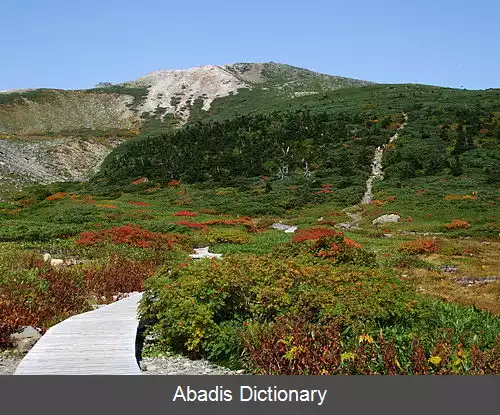 عکس پارک ملی هاکوسان