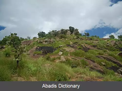 عکس فلات جوس