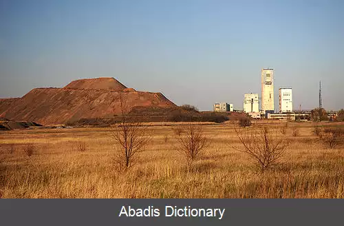 عکس ووهلدار