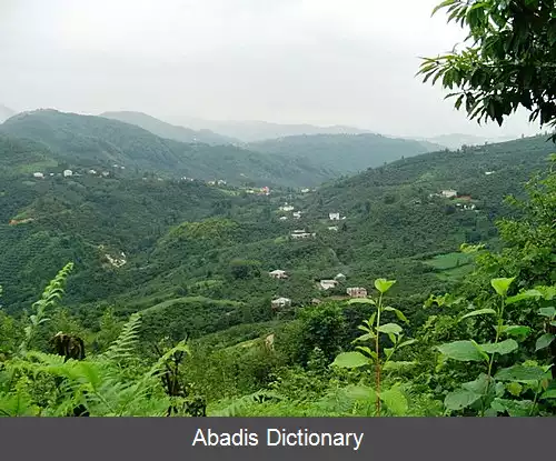 عکس اسپیه