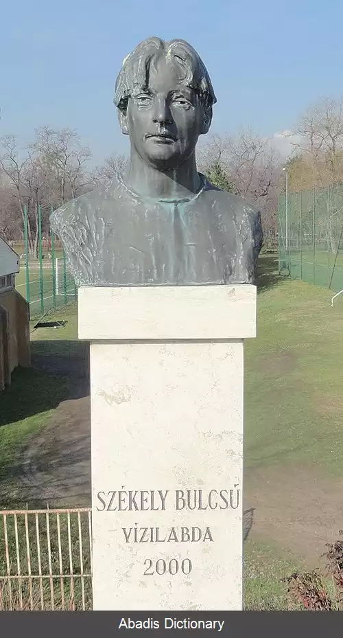 عکس بولچو سکی