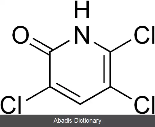 عکس تی سی پی ایگرک