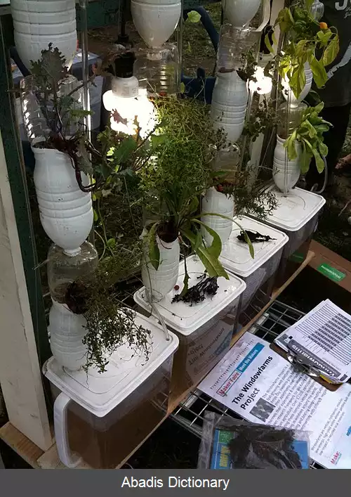 عکس کشت پنجره ای
