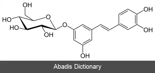 عکس آسترینجین