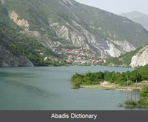 عکس رادیکا