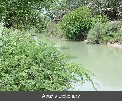 عکس خروسی شمالی