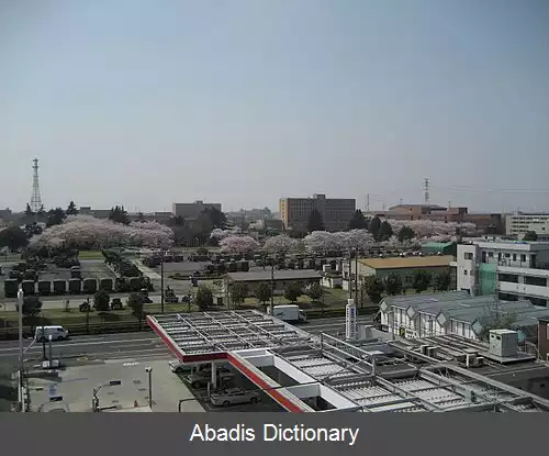 عکس کمپ آساکا