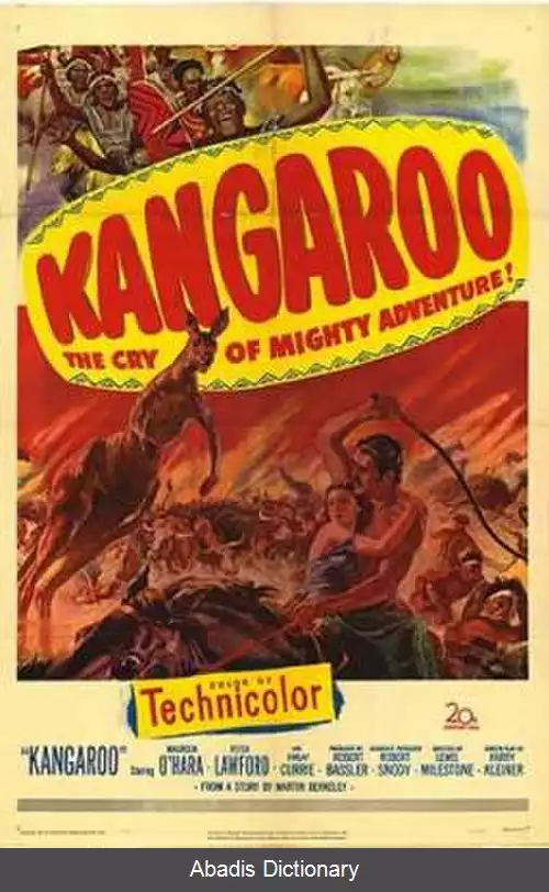 عکس کانگورو (فیلم ۱۹۵۲)