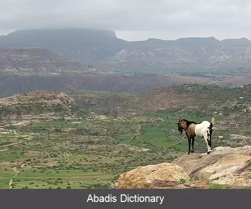 عکس بلندی های اتیوپی